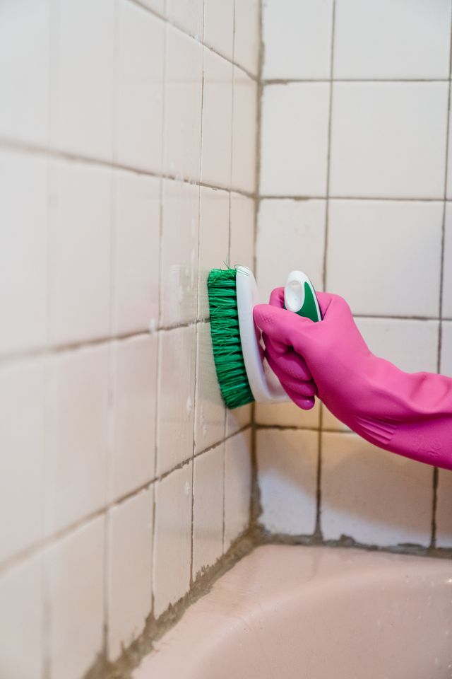 Mold Removal Best Practices for Healthier Indoor Environments
