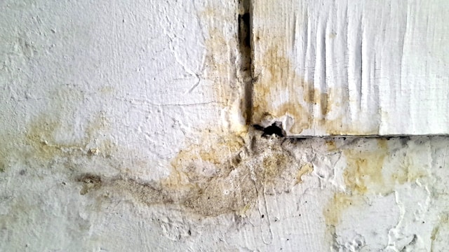 Can Mold Removal Improve Indoor Air Quality Here's What to Know