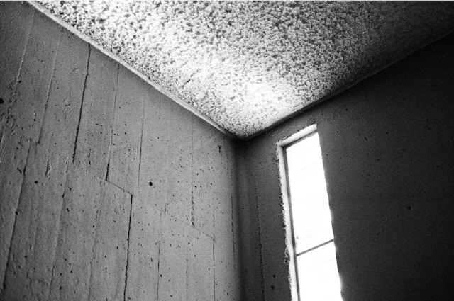 Mold Removal After Flooding Steps Property Owners Should Take Early