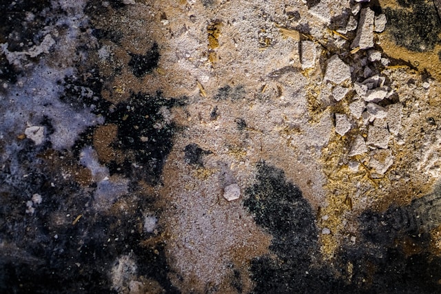 Mold Removal Before Selling a Property Why Indoor Problems Can Affect Buyer Confidence