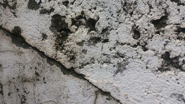 Mold Removal Mistakes That Can Lead to Recurring Mold Problems
