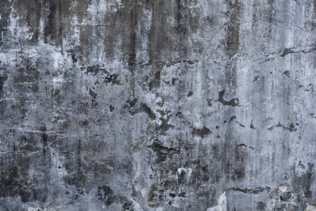 Mold Removal Solutions for Homes, Offices, and Commercial Properties