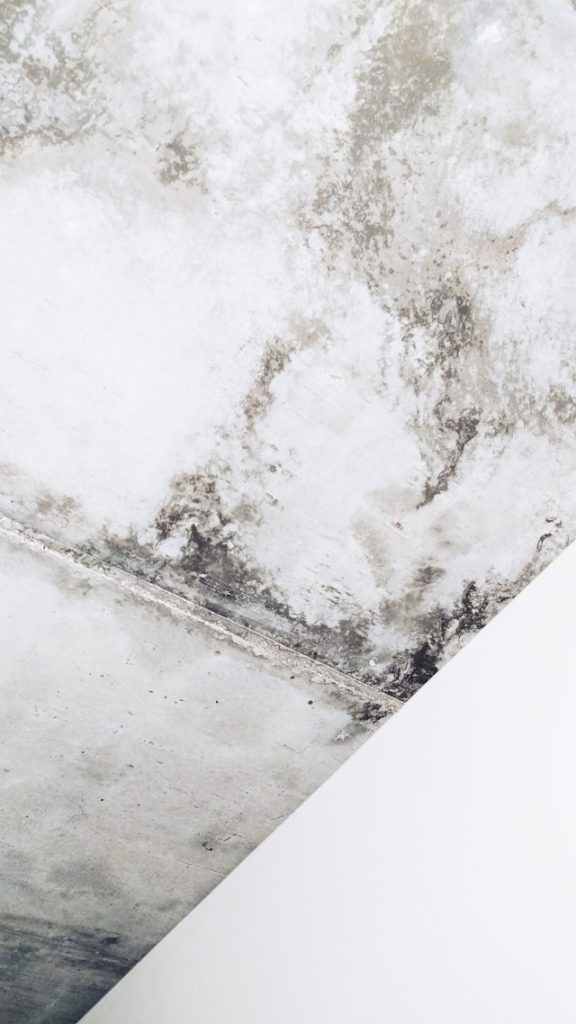 10 Mold Removal Areas to Check When Indoor Moisture Becomes a Problem