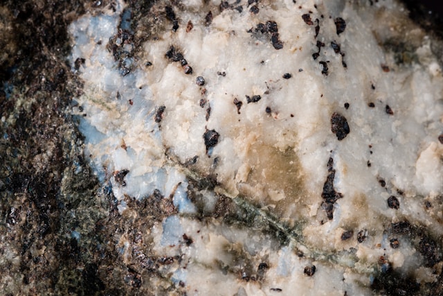 Could Mold Removal Be the Missing Step to a Healthier Indoor Environment