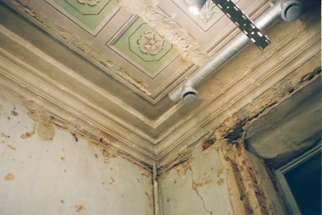 Mold Removal Why a Musty Smell Could Be Telling You More Than You Think