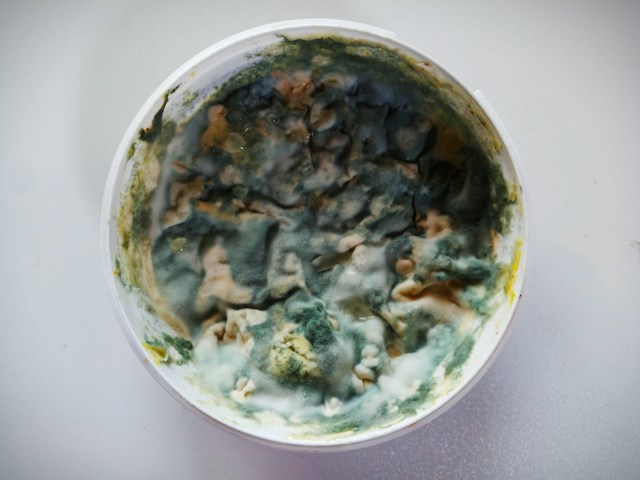8 Mold Removal Discoveries That Can Change How You Maintain Your Home