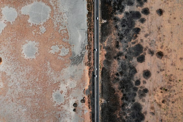 Can Mold Removal Solve a Problem Caused by High Indoor Humidity
