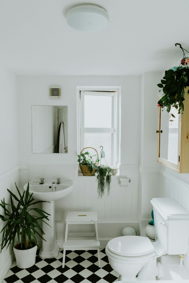 Why Does Mold Form on Silicone Sealant in Bathrooms