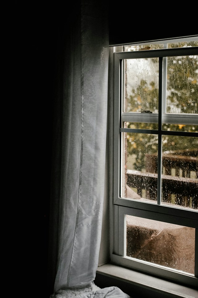 Why Does Mold Often Develop Around Windows and Window Frames